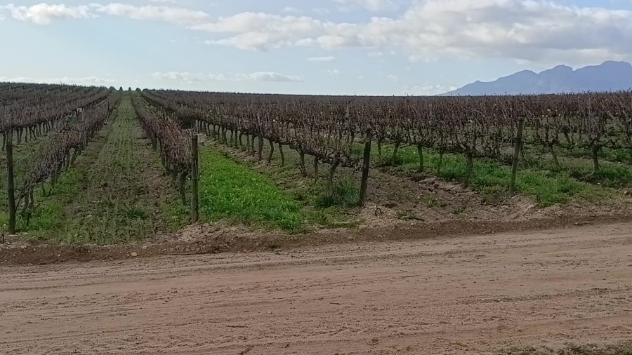 5 Bedroom Property for Sale in Stellenbosch Farms Western Cape